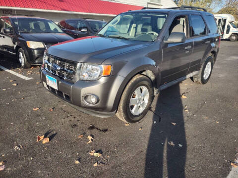 2009 Ford Escape for sale at Cargo Vans of Chicago LLC in Bradley IL