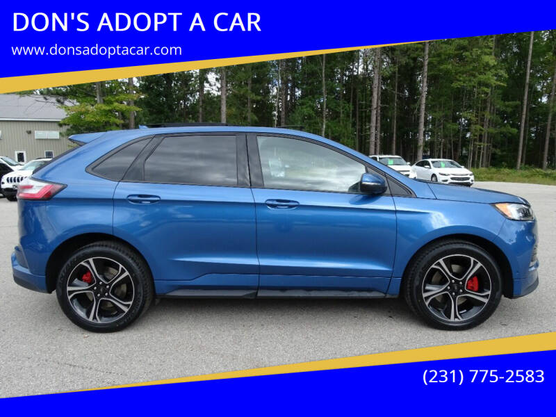2019 Ford Edge for sale at DON'S ADOPT A CAR in Cadillac MI