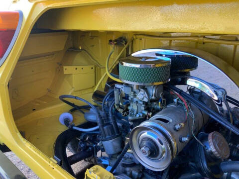 1973 Volkswagen Thing