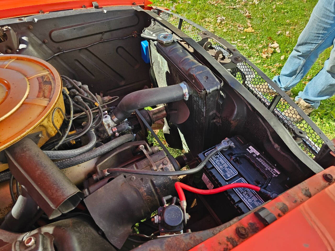 1964 Ford Mustang 178