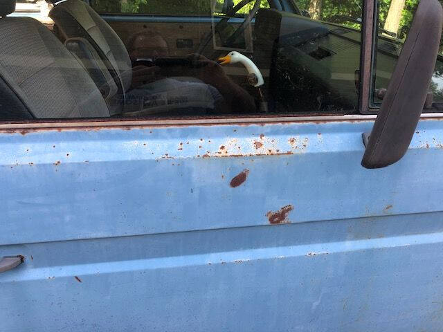 1980 Volkswagen Vanagon