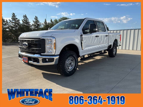 2024 Ford F-250 Super Duty for sale at Whiteface Ford in Hereford TX