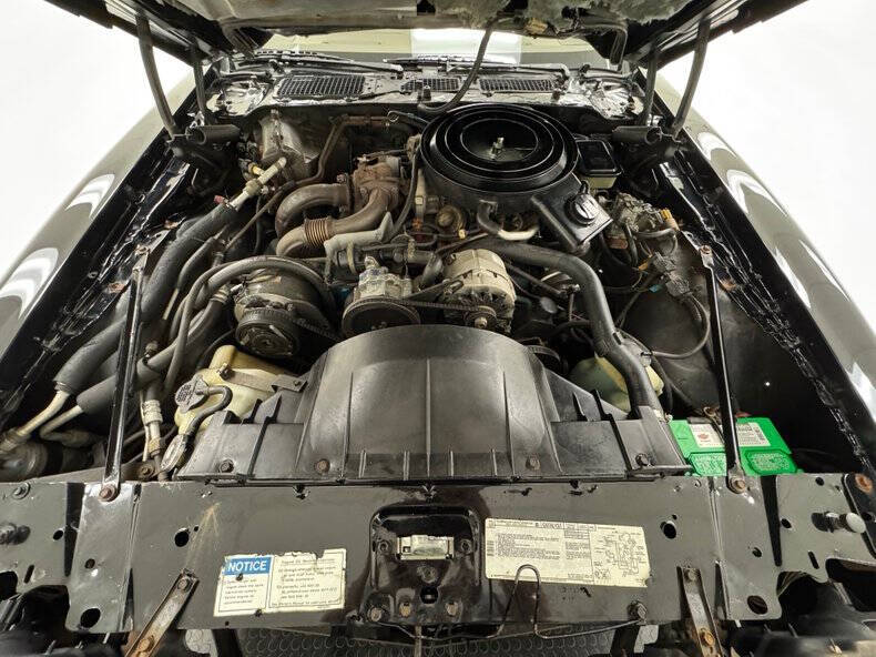 1981 Pontiac Firebird Trans Am