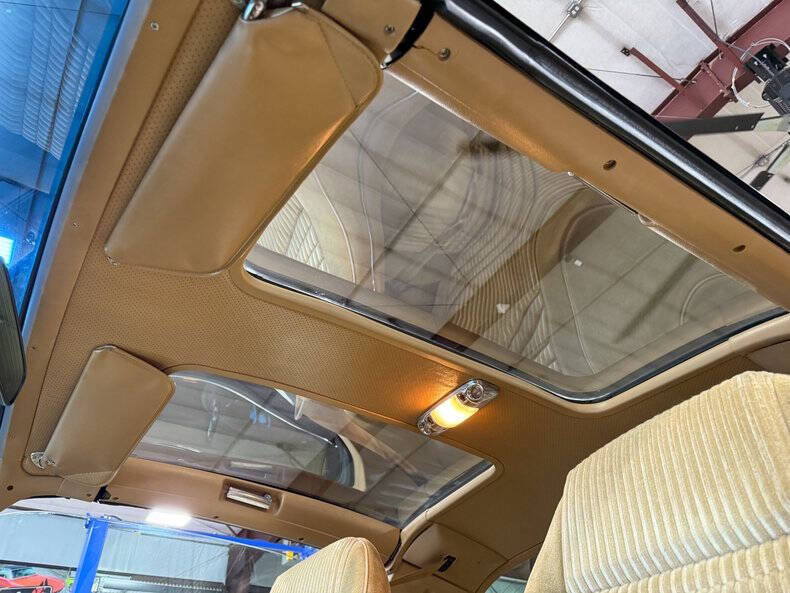 1981 Pontiac Firebird Trans Am