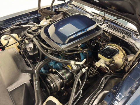 1981 Pontiac Firebird Trans Am