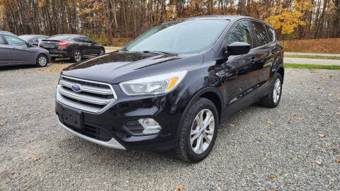 2017 Ford Escape for sale at US-Euro Auto in Burton OH