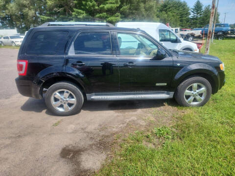 2008 Ford Escape for sale at SCENIC SALES LLC in Arena WI