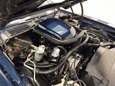 1981 Pontiac Firebird Trans Am