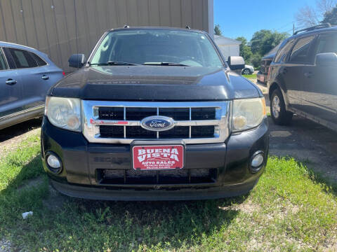 2010 Ford Escape XLT