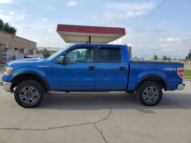 2011 Ford F-150 for sale at Dakota Auto Inc in Dakota City NE