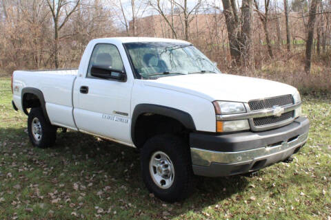 2003 Chevrolet Silverado 2500HD for sale at S & L Auto Sales in Grand Rapids MI