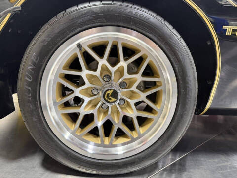 1981 Pontiac Firebird Trans Am