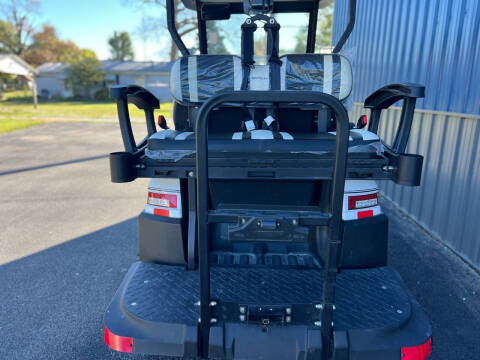 2024 Bintelli CITC LSV4P Beyond L Lithium