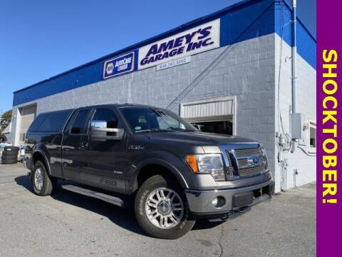 2011 Ford F-150 for sale at Amey's Garage Inc in Cherryville PA