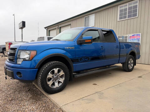 2014 Ford F-150 FX4