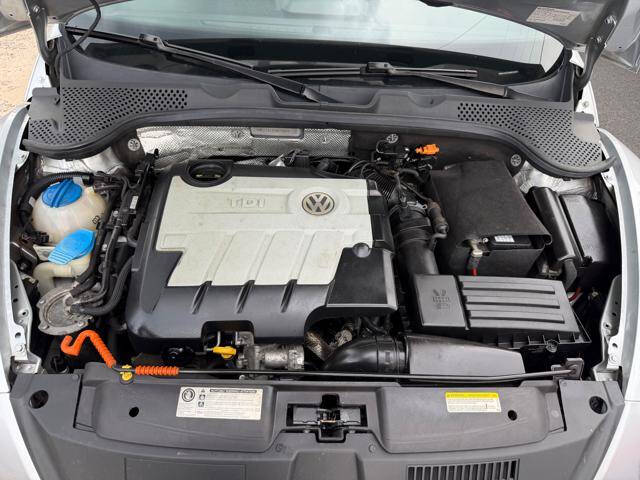2014 Volkswagen Beetle Convertible TDI Convertible 19