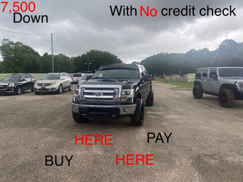 2014 Ford F-150 for sale at First Choice Financial LLC in Semmes AL