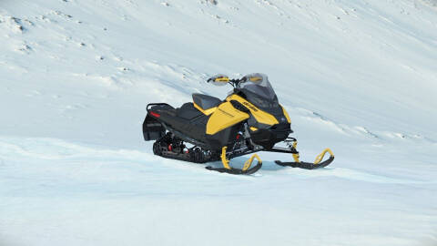 Ski-Doo Renegade Adrenaline Image