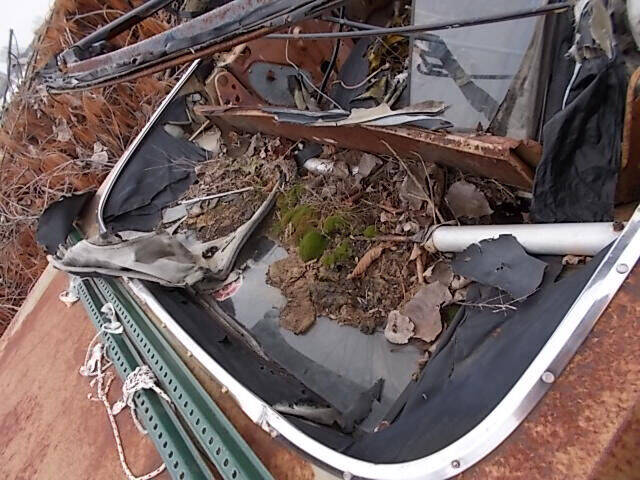 1966 Oldsmobile Eighty-Eight