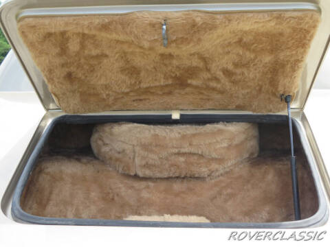 1986 Johnson Phantom