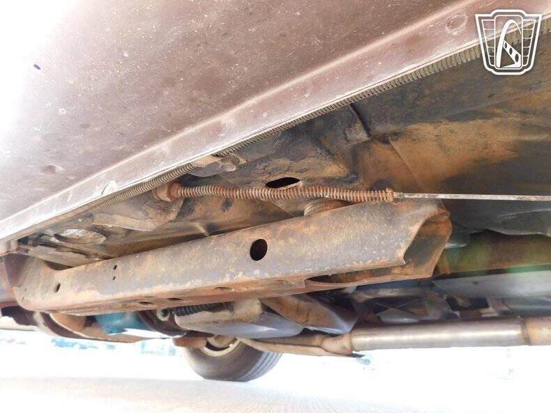 1981 Pontiac Firebird Trans Am