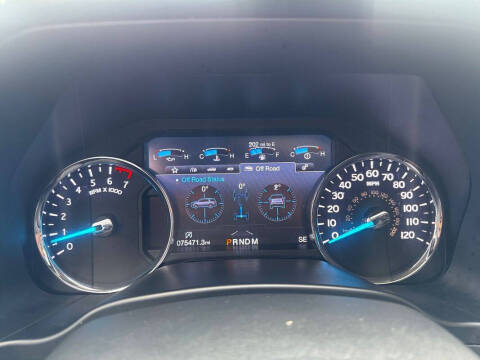 2019 Ford Expedition MAX Platinum