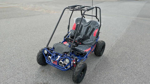 2025 TrailMaster Mini XRX R+