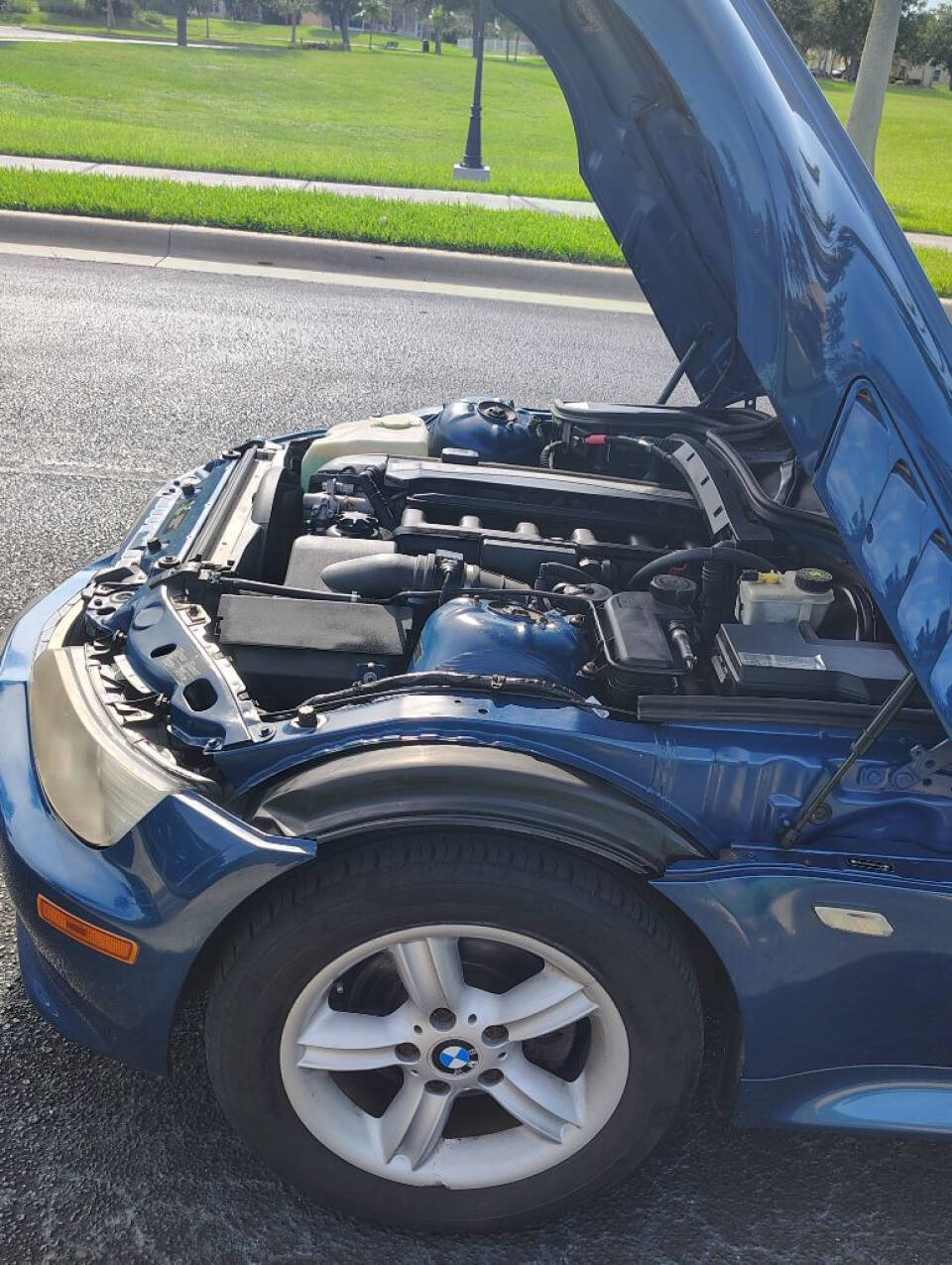 2001 BMW Z3 for sale at Amatrudi Motor Sports in Fort Pierce, FL