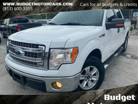 2014 Ford F-150 for sale at Budget Motorcars in Tampa FL