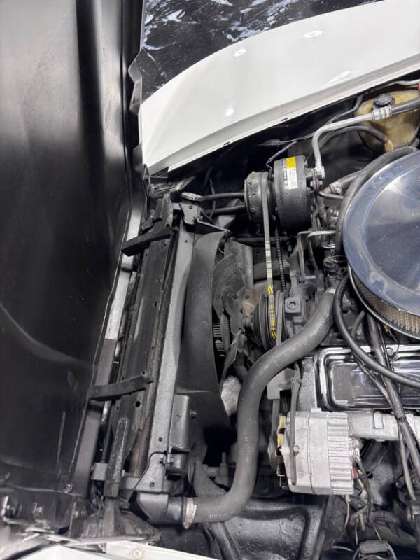 1981 Chevrolet Corvette