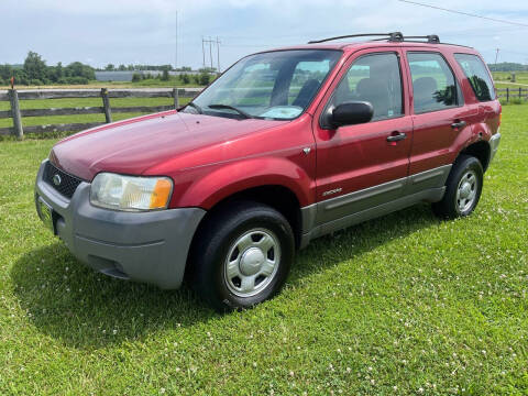 2001 Ford Escape for sale at Hitt & Mis Auto in Cape Girardeau MO