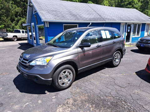 2010 Honda CR-V for sale at Michigan Auto Sales in Kalamazoo MI