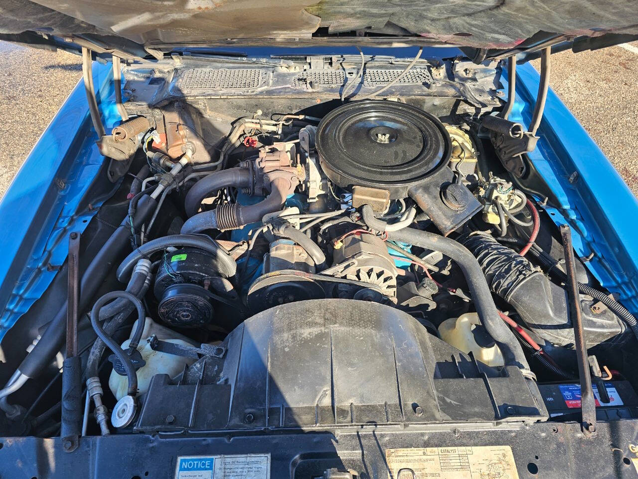 1980 Pontiac Firebird Trans Am 55