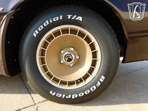 1981 Pontiac Firebird Trans Am