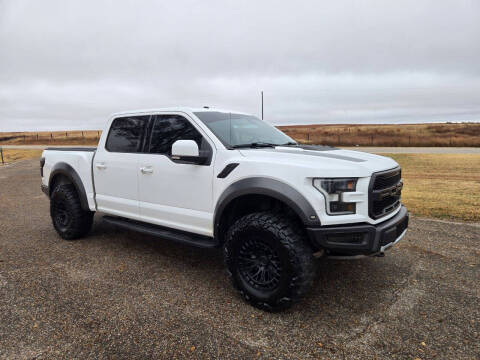 2017 Ford F-150 Raptor