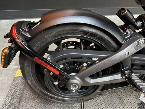 2020 Harley-Davidson® ELW - LiveWire™