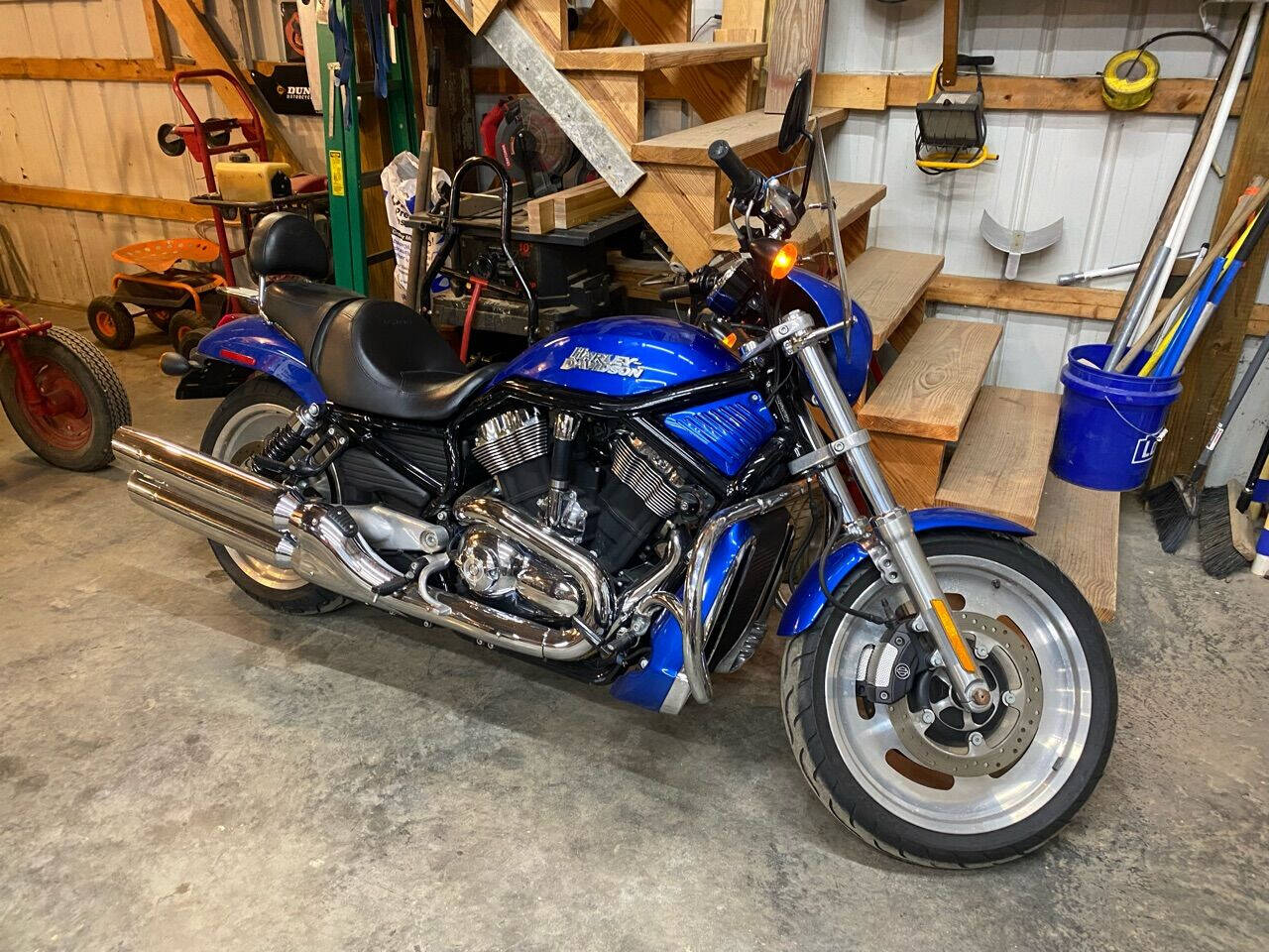 harley night rod for sale