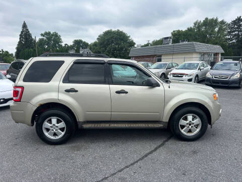 2010 Ford Escape XLT