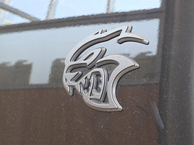 Click to enlarge