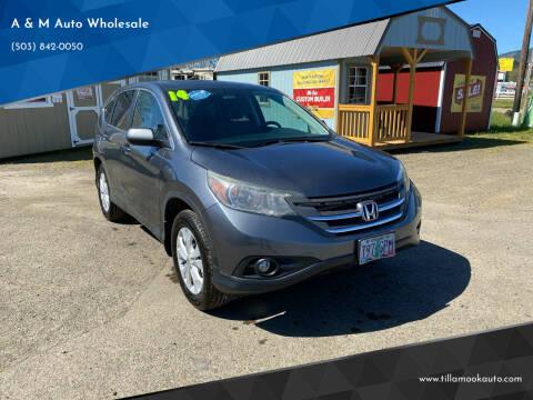 2014 Honda CR-V for sale at A & M Auto Wholesale in Tillamook OR