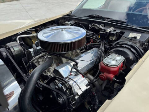 1981 Chevrolet Corvette