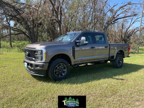 2023 Ford F-350 Super Duty for sale at TIMBERLAND FORD in Perry FL