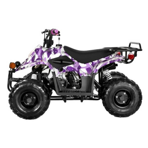 2025 Coolster 110cc 3050c