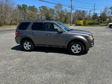 2012 Ford Escape XLT
