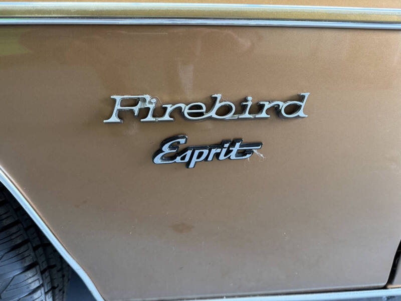 1979 Pontiac Firebird