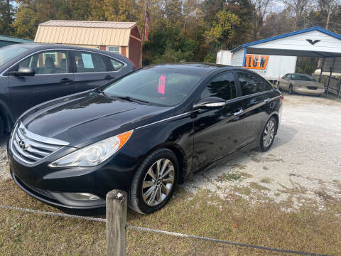 2014 Hyundai Sonata for sale at Southtown Auto Sales in Whiteville NC