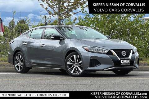 2019 Nissan Maxima for sale at Kiefer Nissan Budget Lot in Albany OR