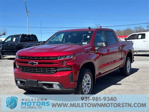 2020 Chevrolet Silverado 1500 for sale at Muletown Motors in Columbia TN