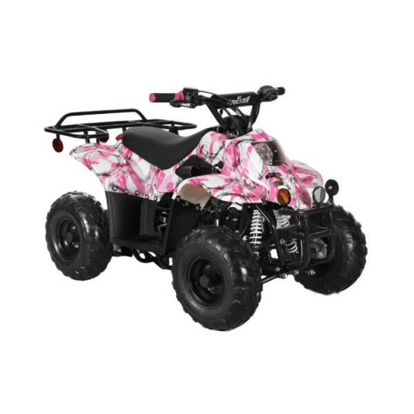 2025 Coolster 110cc 3050c