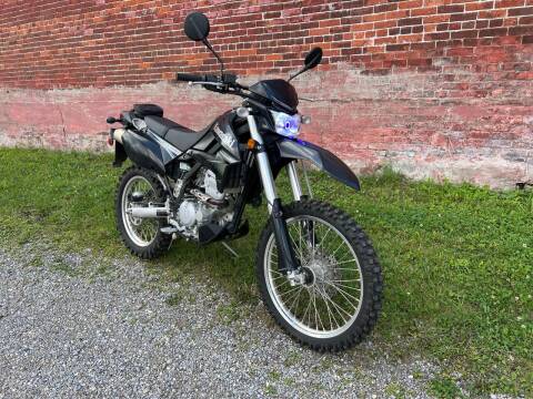 2010 Kawasaki KLX250S for sale at Lydics Sales and Service in Cambridge Springs PA